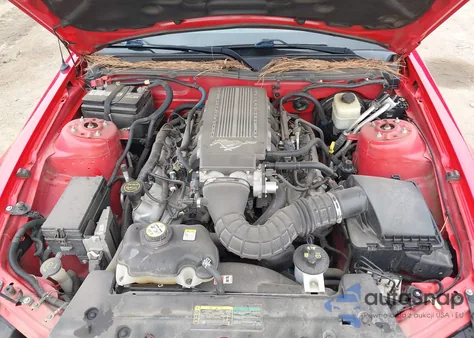 2008 Ford Mustang Gt Deluxe/Gt Premium from USA, damaged, VIN 1ZVHT85H485103876